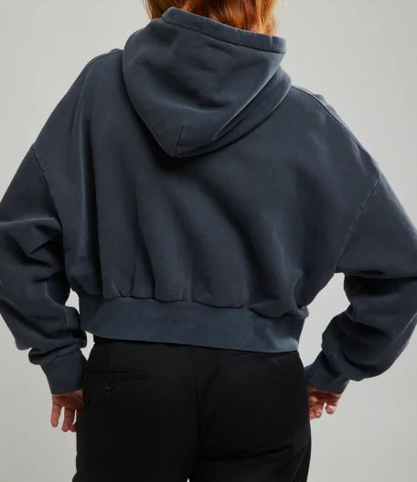 Stussy Pair of Dice Cropped Hoodie