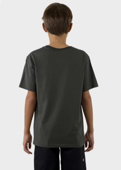 Dickies Single Logo Youth SS Tee