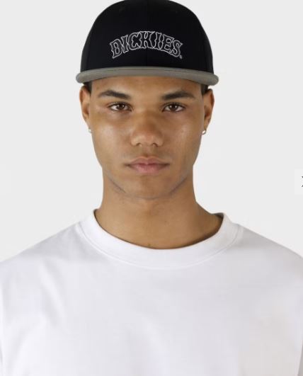 Dickies Old Salon 6 panel Snapback