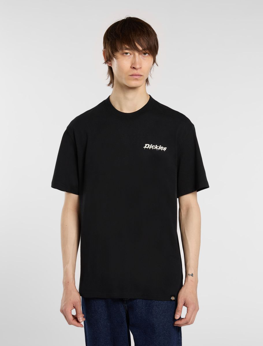 Dickies Statesville Light Weight t-shirt (Black)