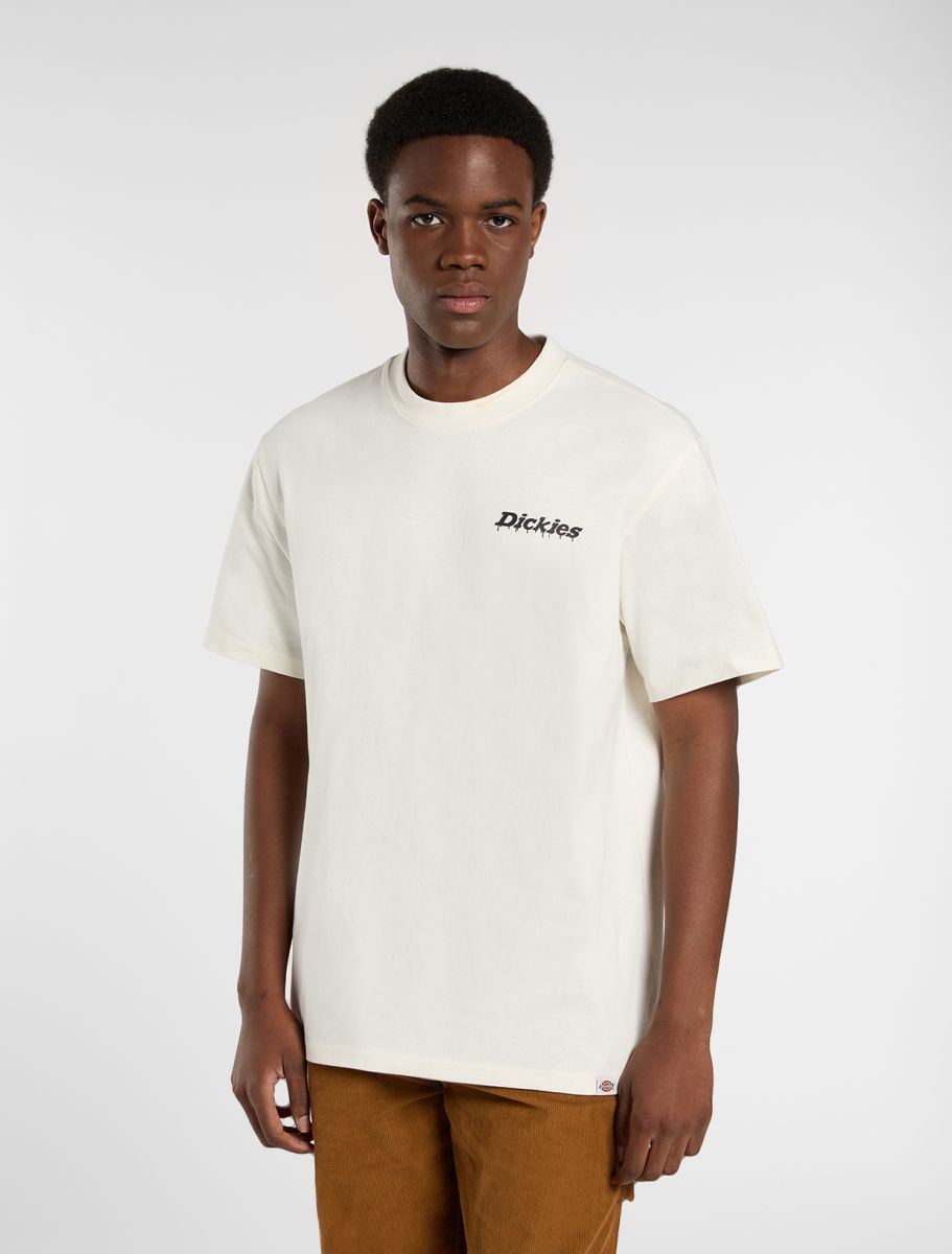 Dickies Statesville Light Weight t-shirt