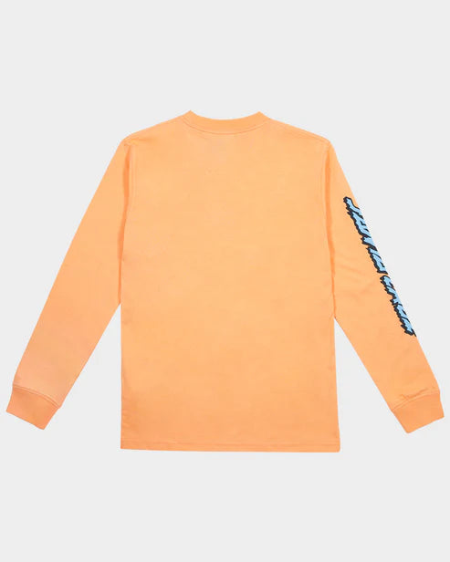 Santa cruz decaying hand boys LS tee