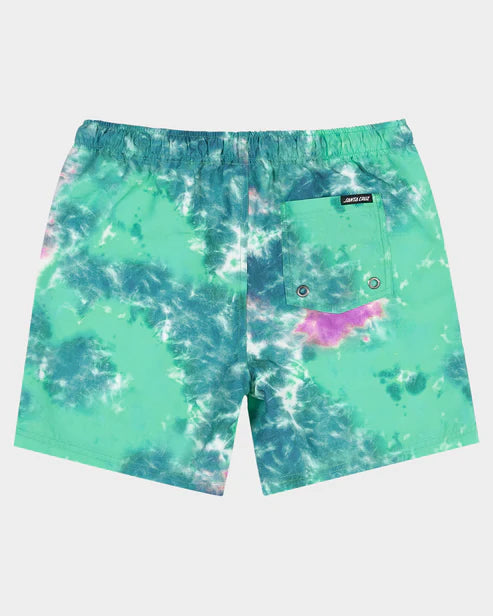Santa Cruz Industrial Dot Mono Boys Boardshort