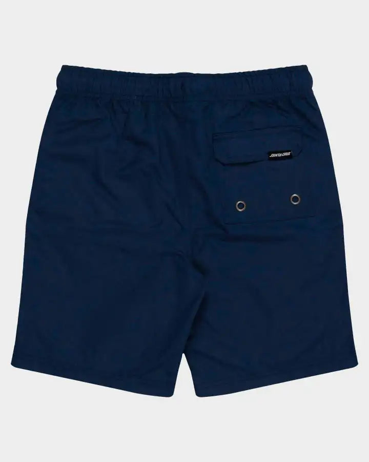 Santa cruz classic dot youth beach short