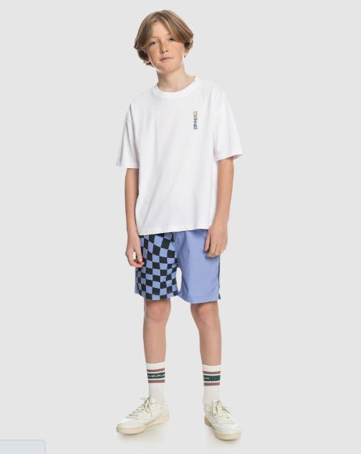 Quicksilver Taxer Print Youth Boardshorts