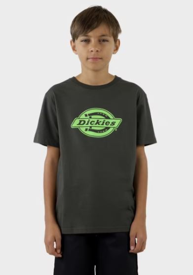 Dickies Single Logo Youth SS Tee