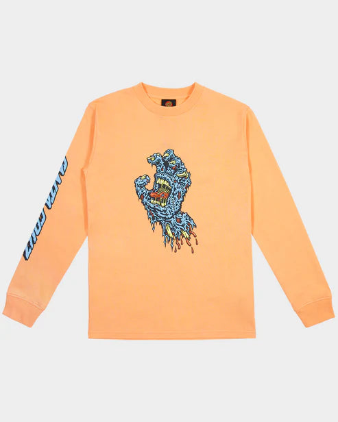 Santa cruz decaying hand boys LS tee