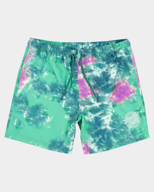 Santa Cruz Industrial Dot Mono Boys Boardshort