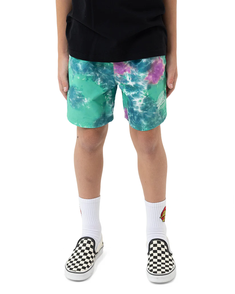 Santa Cruz Industrial Dot Mono Boys Boardshort